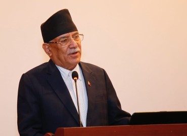 category photo