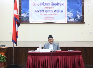category photo