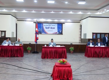 category photo