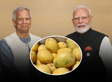 category photo