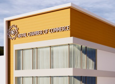 category photo