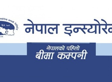 category photo