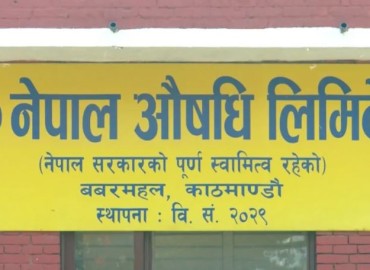 category photo
