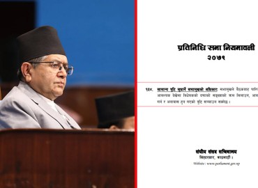 category photo