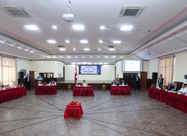 category photo