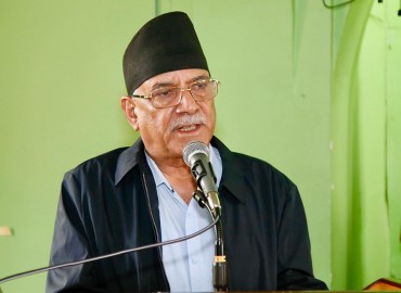 category photo