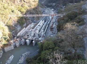 category photo