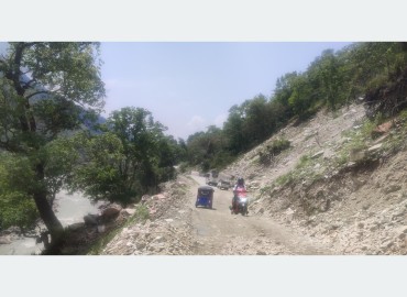 category photo