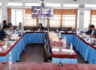 category photo