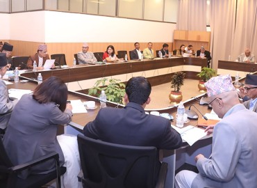 category photo
