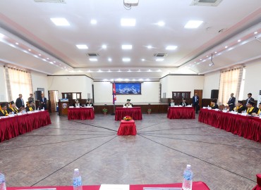 category photo