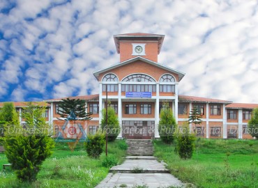 category photo