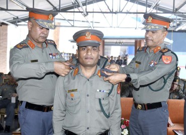 category photo