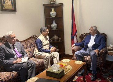 category photo