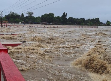 category photo
