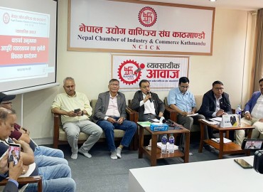 category photo