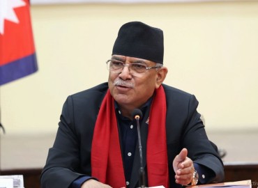 category photo