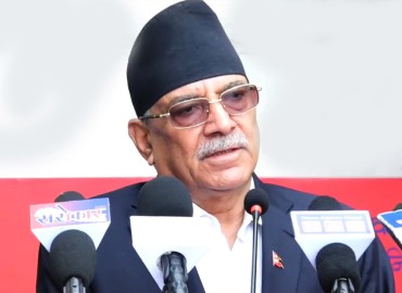 category photo