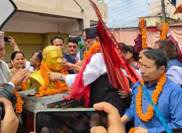category photo