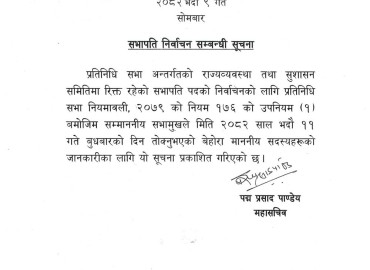 category photo