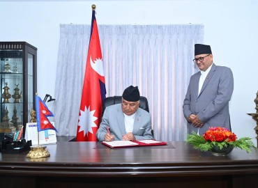 category photo