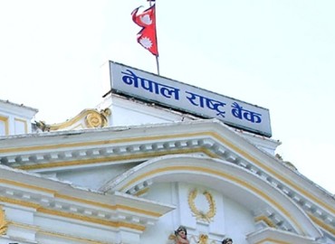 category photo