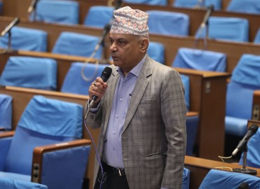 category photo