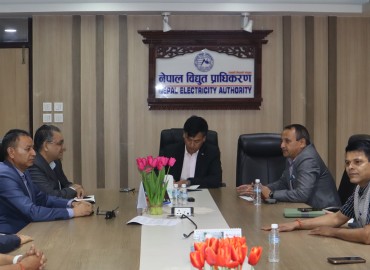 category photo