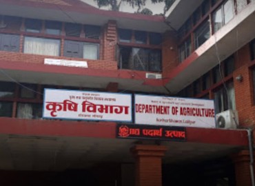 category photo