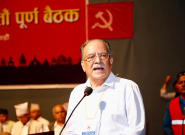 category photo
