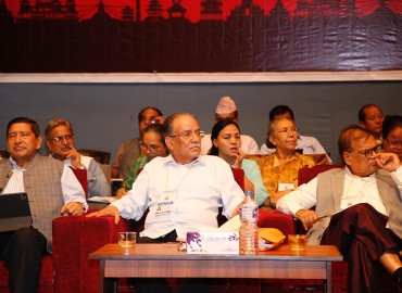 category photo