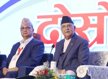 category photo