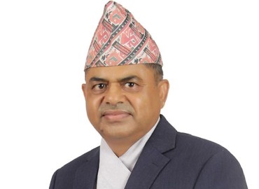 category photo