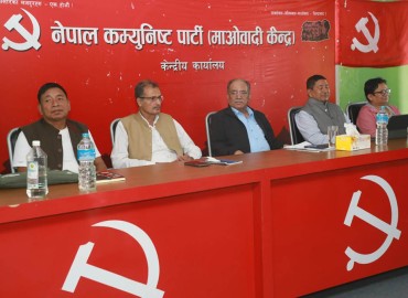 category photo
