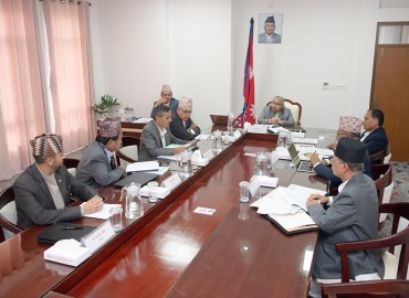 category photo
