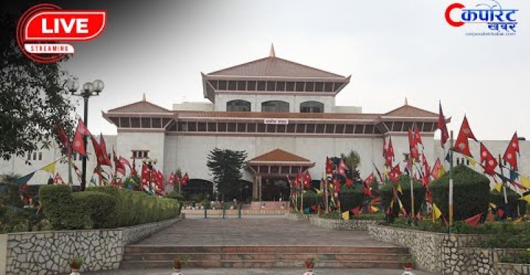category photo