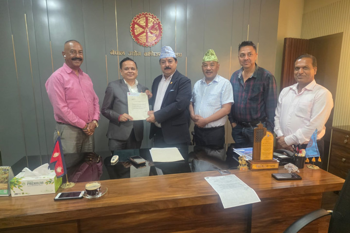 बटु लामिछाने उद्योग वाणिज्य महासंघको ऊर्जा समिति सभापतिमा मनोनीत
