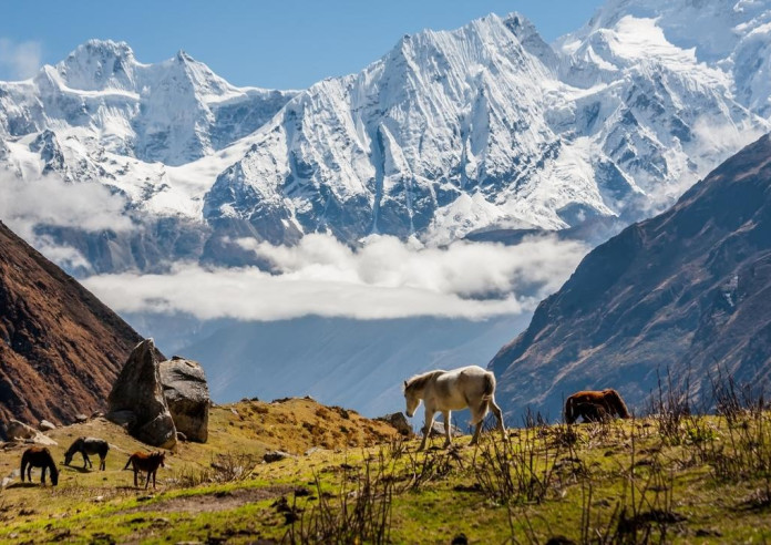 हिउँपहिरोमा पुरिएर मनास्लुमा विदेशीसहित दुई जनाको मृत्यू