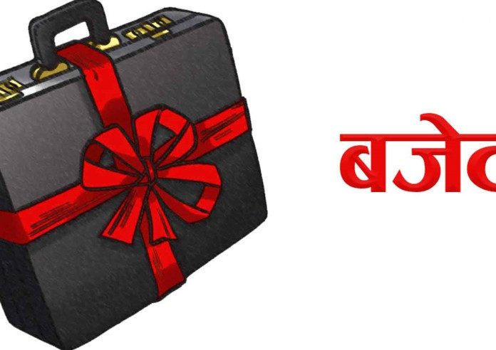 वीरगञ्ज महानगरले ल्यायो ४ अर्ब ४२ करोड बढीको बजेट 