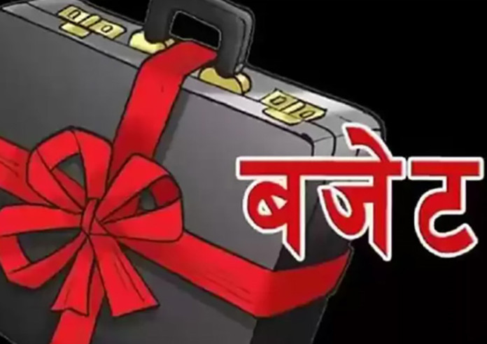 कति स्थानीय तहले ल्याए बजेट ?