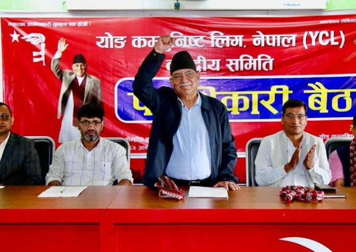 वाइसीएलले अर्धसैन्य दस्ता व्यूँतायो