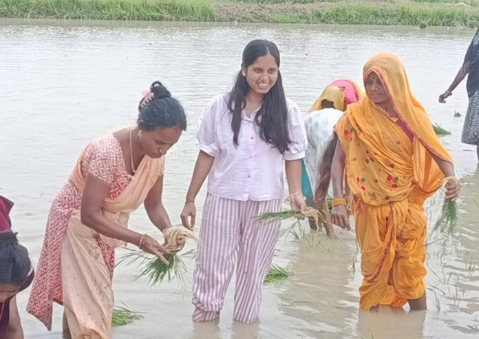 धान दिवस : उपसभामुख ठाकुरले जनकपुर पुगेर आफ्नै खेतमा रोपिन् धान