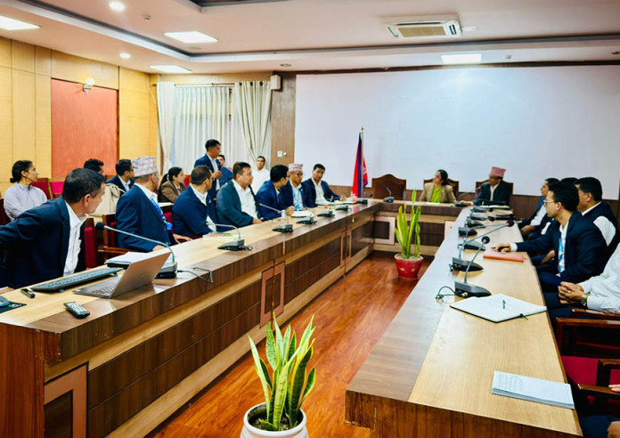 विपदमा मूल्य बढाउनेलाई कडा कारबाही गर्न निर्देशन, १६ अनुगमन टोली गठन