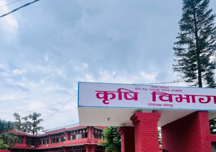 भारी वर्षा: किसानलाई सतर्कता अपनाउन विभागको आग्रह