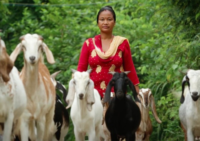 अध्ययनको निष्कर्ष– ग्रामीण कृषिमा बढ्दो आकर्षणले उकासिँदै छ क्षेत्रीय अर्थतन्त्र