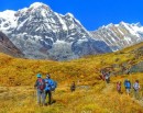 एक महिनामा नेपाल आए १ लाख ८ हजार ६३० पर्यटक, कुन देशका कति ?_img
