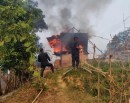 सोलुखुम्बुमा डढेलोले दश घर जले, दर्जनौँ पशुचौपाया हताहत_img