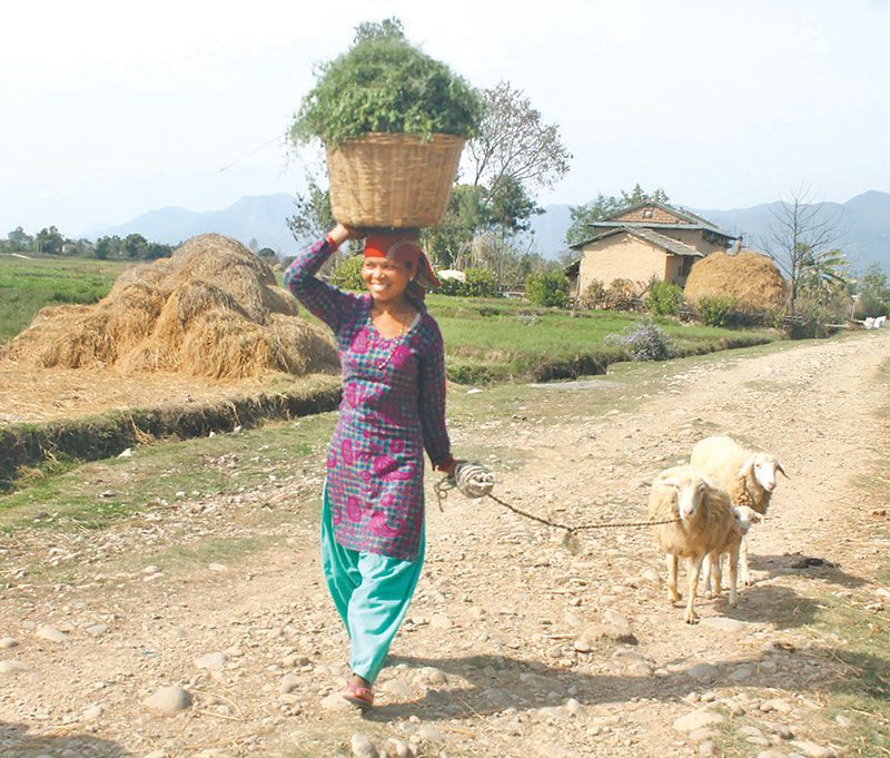 नेपाली महिलाको आर्थिक अधिकार कमजोर रहेको विश्व बैंकको प्रतिवेदन सार्वजनिक