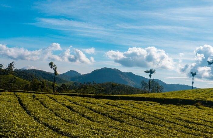 भू–उपयोग नीति हस्तान्तरण, कस्तो बन्यो नीति ?