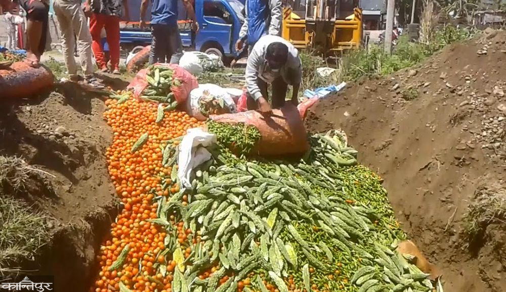 सागसब्जी नष्ट नगरी बजारसम्म लैजाने व्यवस्था मिलाउन गृह मन्त्रालयको निर्देशन